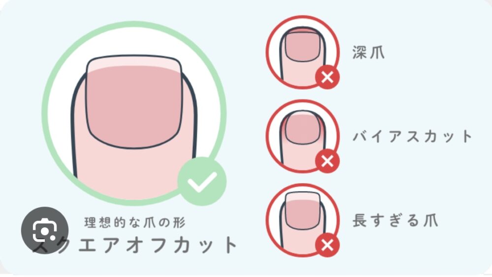 スクエアカット