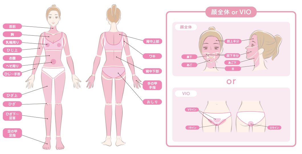 全身セレクト